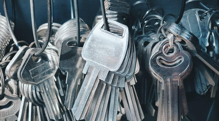 Professional gutter cleaning in Woodlawn, TX